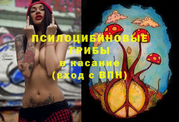 мяу мяу мука Алексин