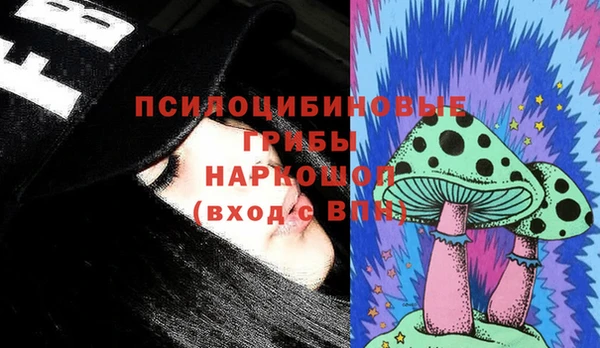 PSILOCYBIN Алексеевка